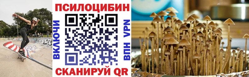 Галлюциногенные грибы Psilocybine cubensis Елизаветинская